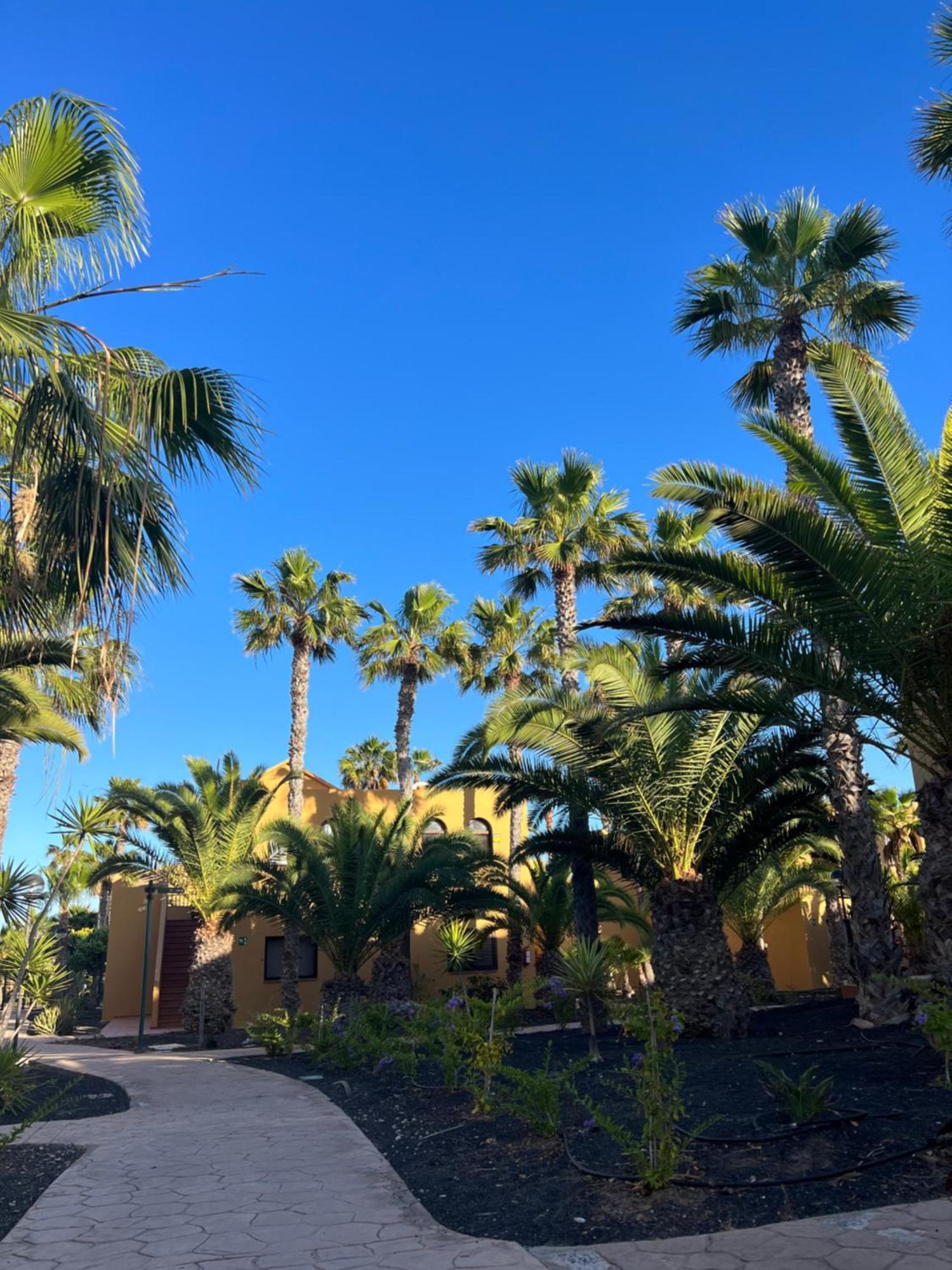 Appartamento Casa De Leon Corralejo Esterno foto