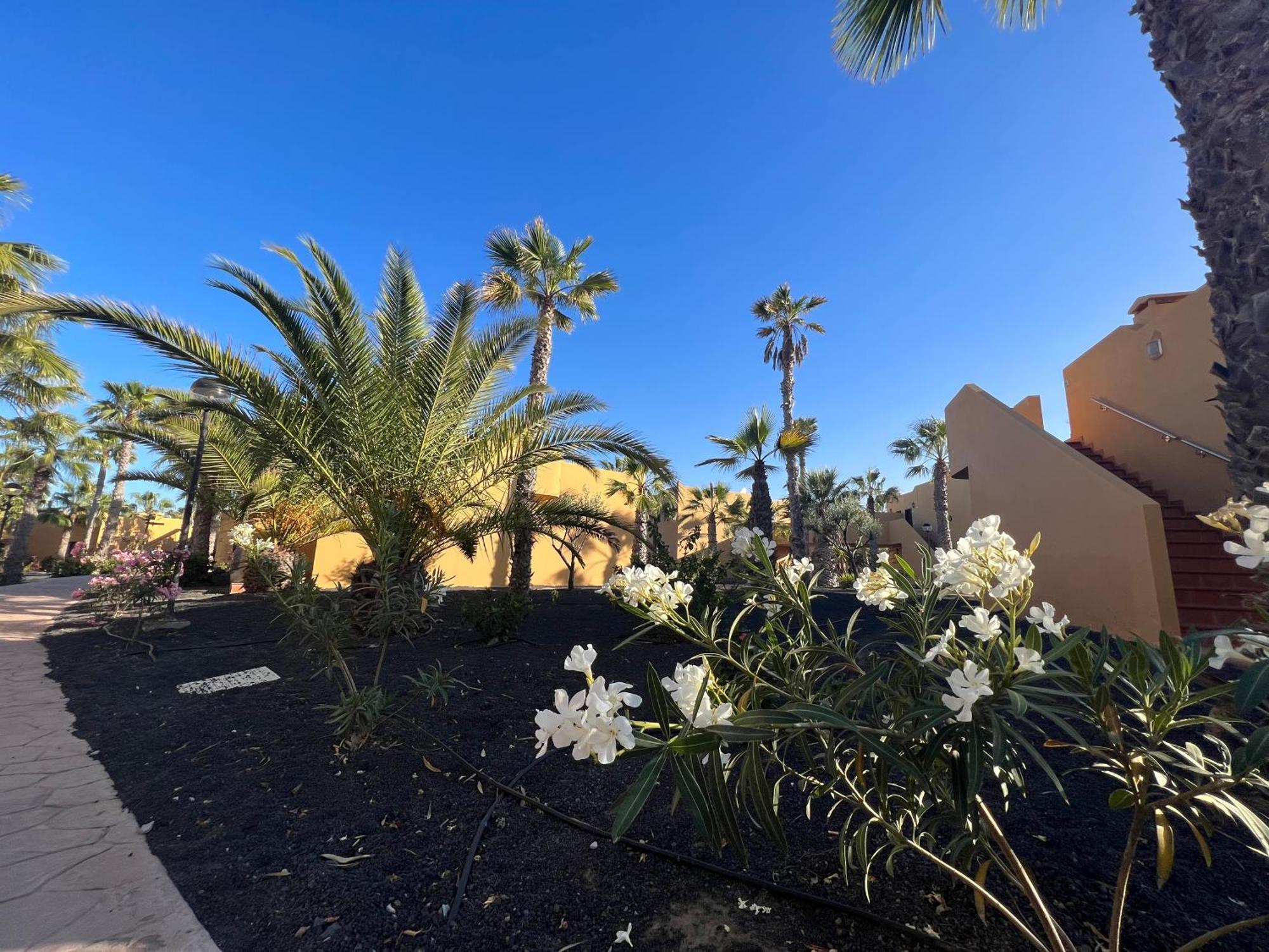 Appartamento Casa De Leon Corralejo Esterno foto