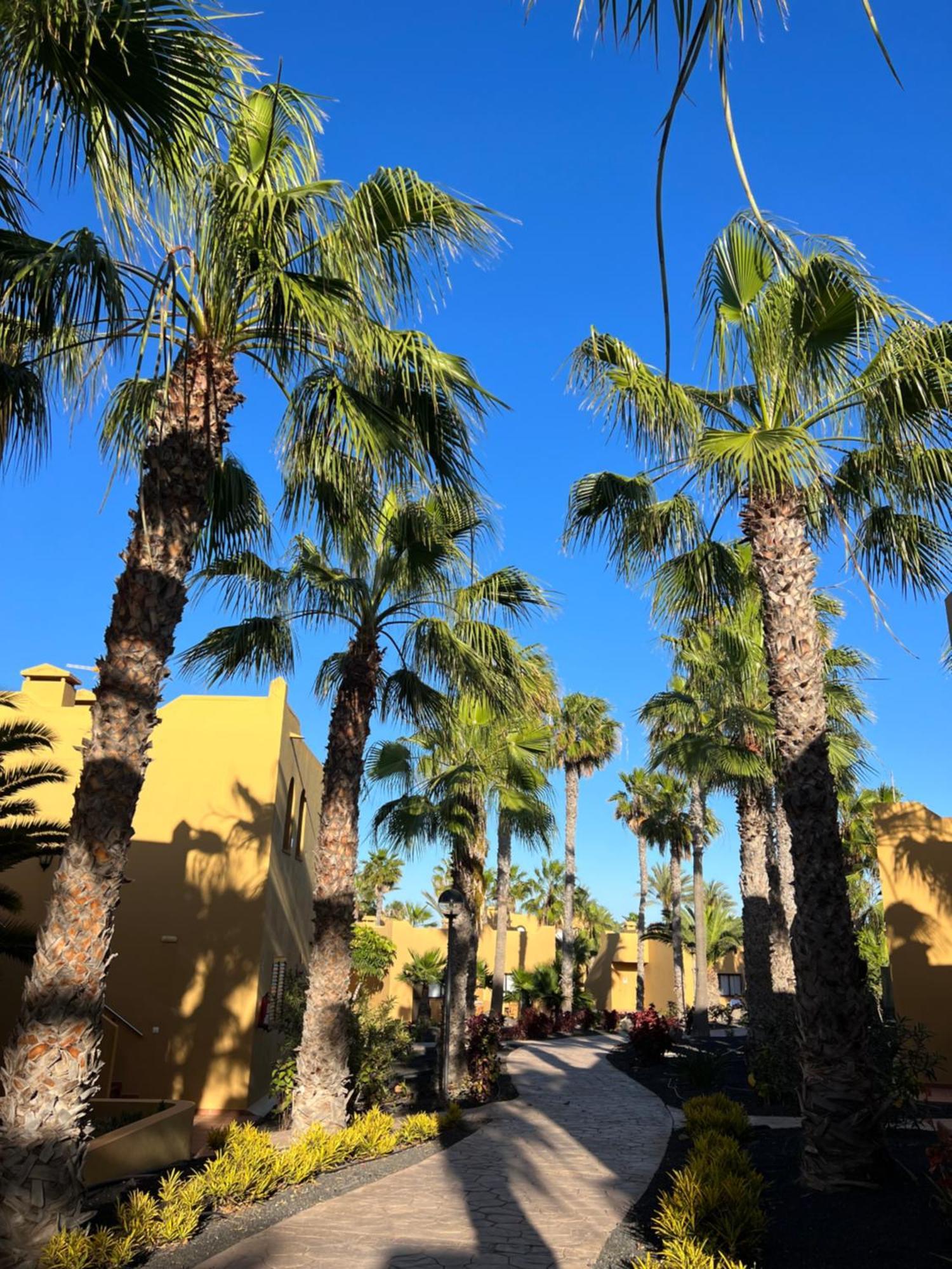 Appartamento Casa De Leon Corralejo Esterno foto