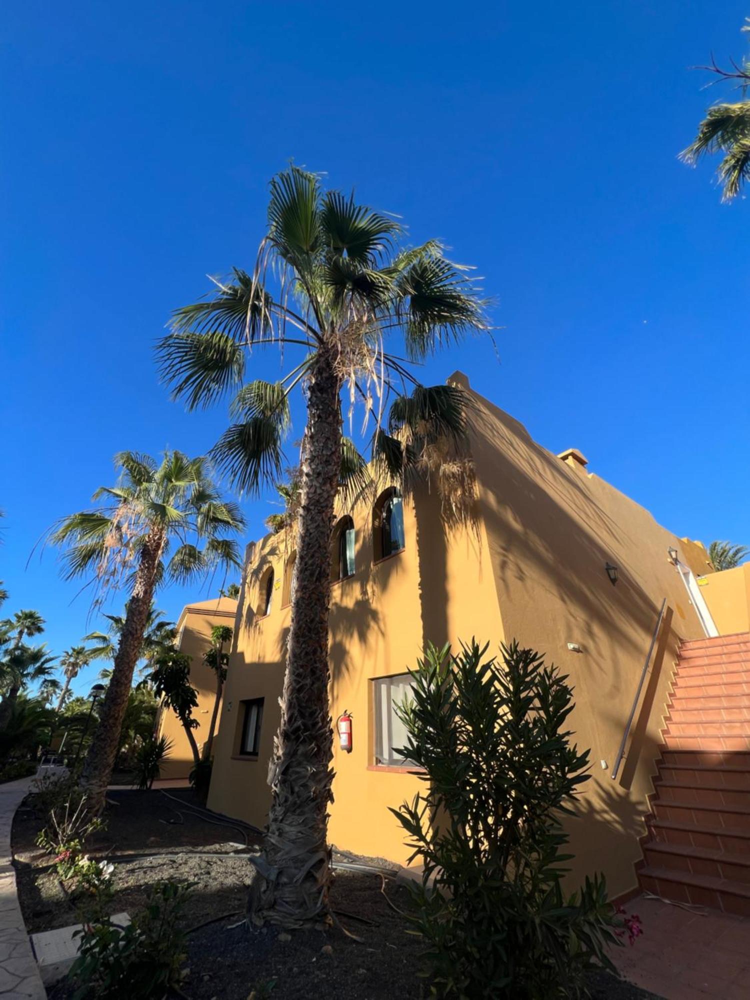 Appartamento Casa De Leon Corralejo Esterno foto